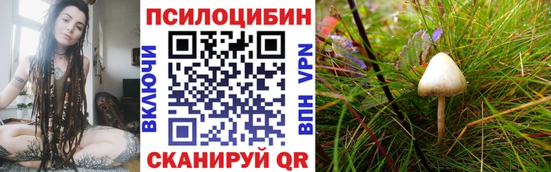 Галлюциногенные грибы GOLDEN TEACHER  Андреаполь 
